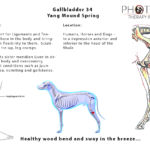EPOTW  - Gallbladder 34