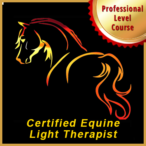 Certified Equine Light Therapist