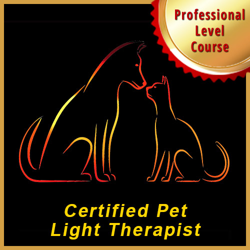 Certified Pet Light Therapist