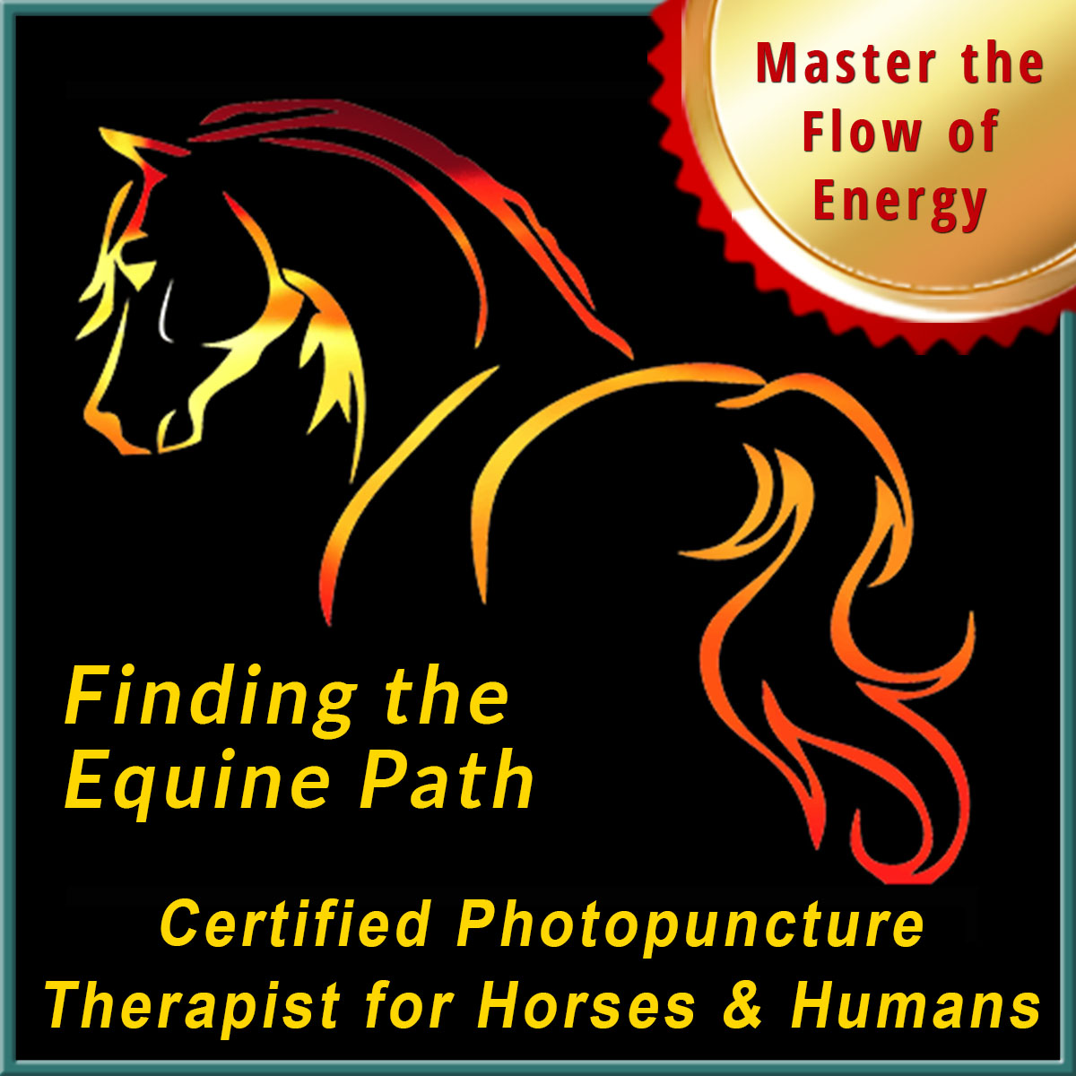 Certified Equine Photopuncture Therapist