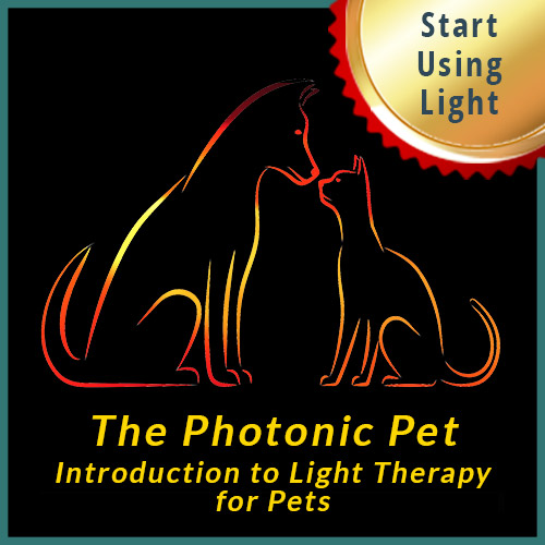 The Photonic Pet